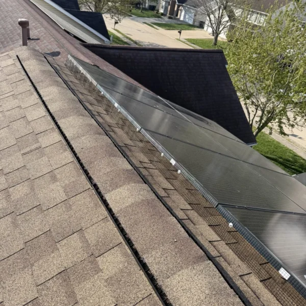 solar panel critter guard installation near me