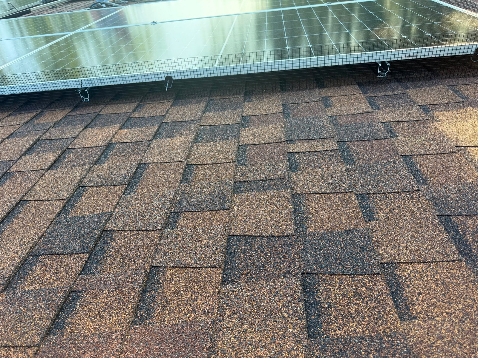 Critter Guard Installation